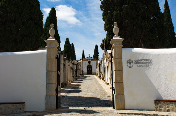 Cemitério Municipal de Loures distinguido com menção honrosa