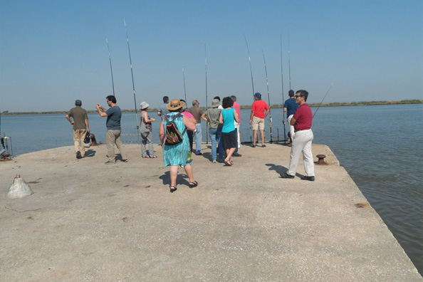 Viragem para o Tejo 