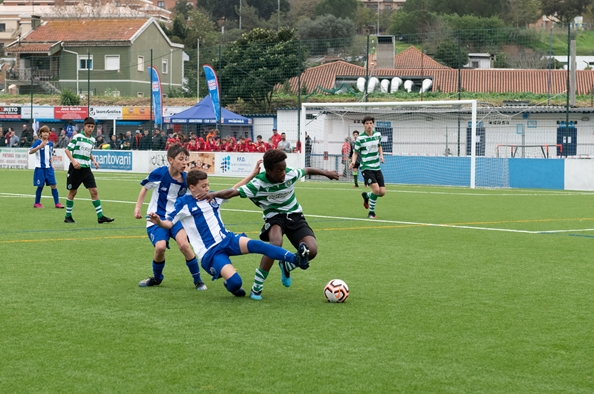 Sintético Ponte Frielas_3