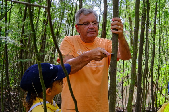 Câmara promove nova ação de sensibilização sobre controlo de plantas invasoras 5