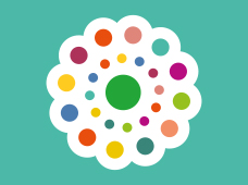 passeio sénior 2025