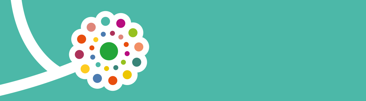 passeio Sénior 2025_banner