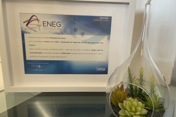 Menção honrosa ENEG 2025_Foto