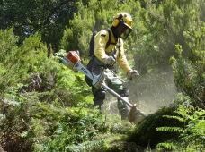 limpeza terrenos 2026