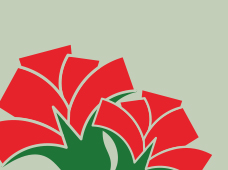 Sessão solene da Assembleia Municipal de Loures_25 abril_agenda