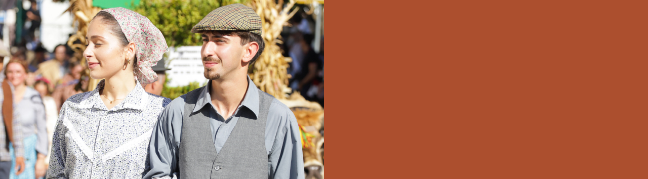 Festa do vinho e das vindimas 2026_Banner