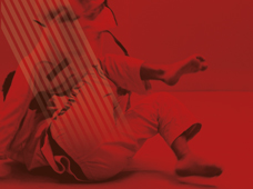 Festival de Artes Marciais 2026_agenda