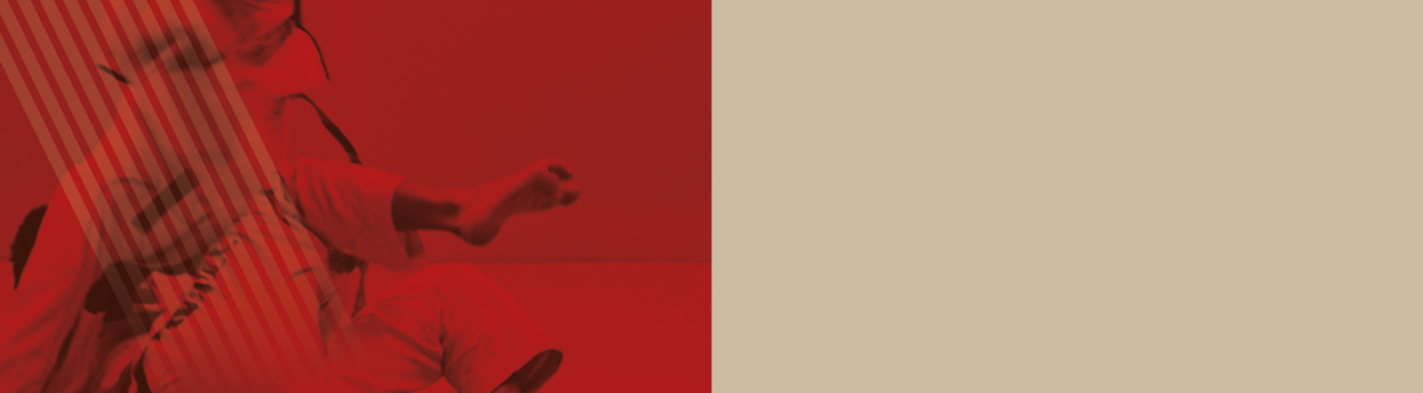 Festival de Artes Marciais 2026_banner